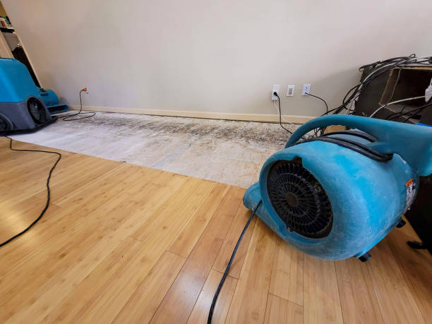 Professional Emergency Water Damage technician working in Bloomington, IN